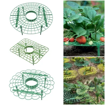 Algul Plastikust Maasika Seista Rõdu Kasvatada Köögivilju, Puu Ronida Samba Ristküliku Aiandus Bracket Taim